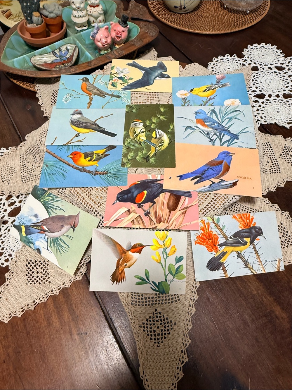 Complete Set of Vintage National Wildlife Federation Bird Postcards